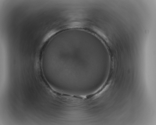 X0000115361453200911101147