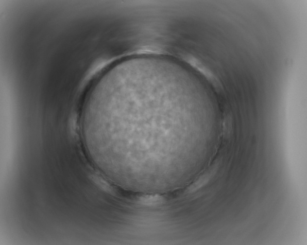 X0000115361454200911101147