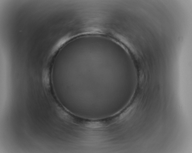 X0000115361455200911101147