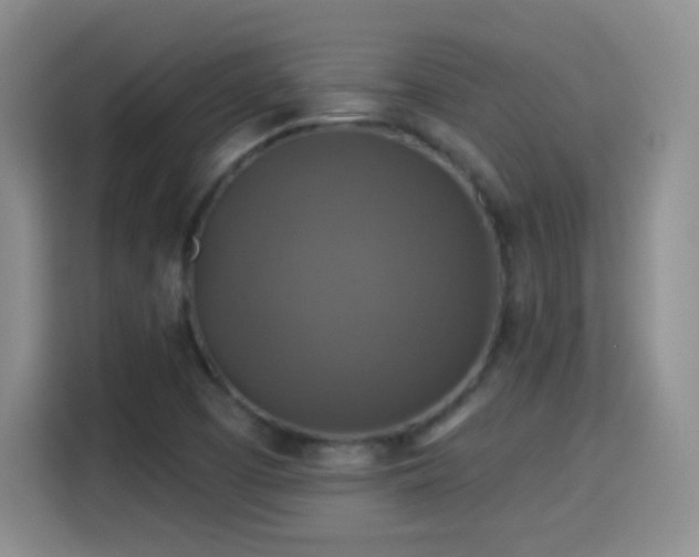 X0000115361457200911101147
