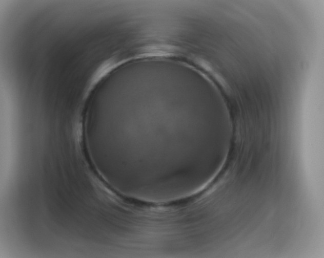 X0000115361459200911101147