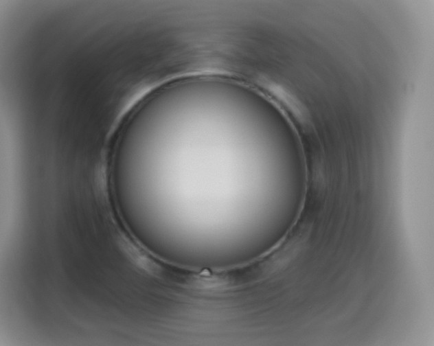 X0000115361460200911101147