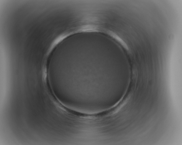 X0000115361461200911101147