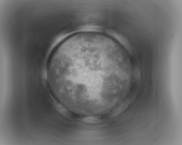 X0000115361462200911101147
