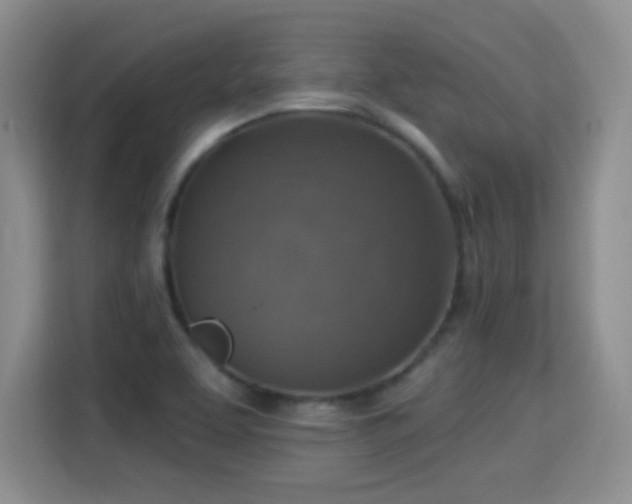 X0000115361463200911101146
