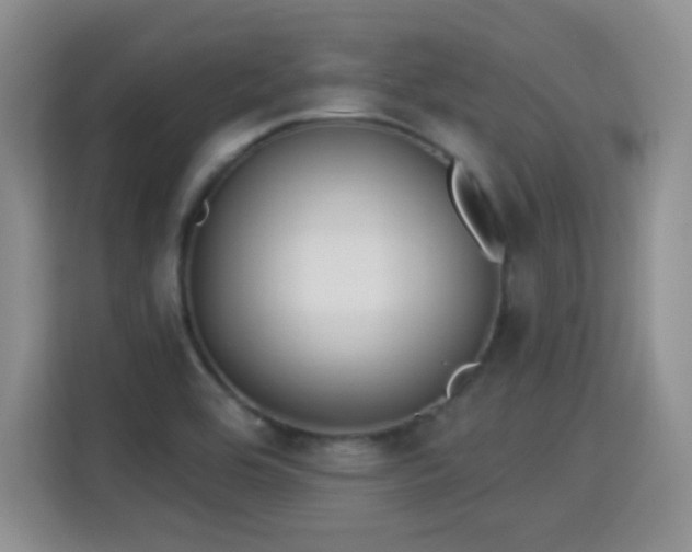 X0000115361464200911101146