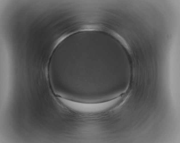 X0000115361465200911101146