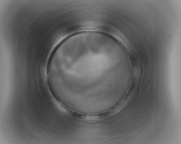 X0000115361466200911101146