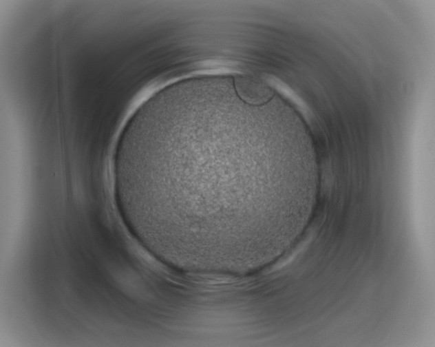 X0000115361467200911101146