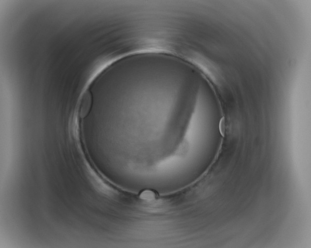 X0000115361468200911101146