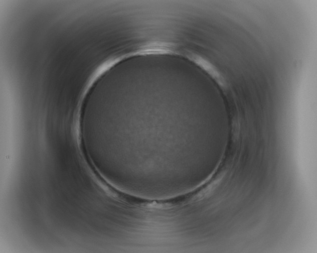 X0000115361469200911101146