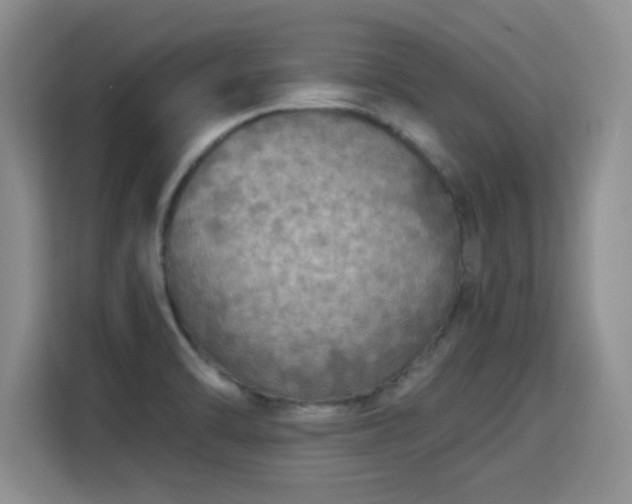 X0000115361470200911101146