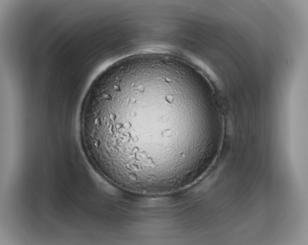 X0000115361471200911101146