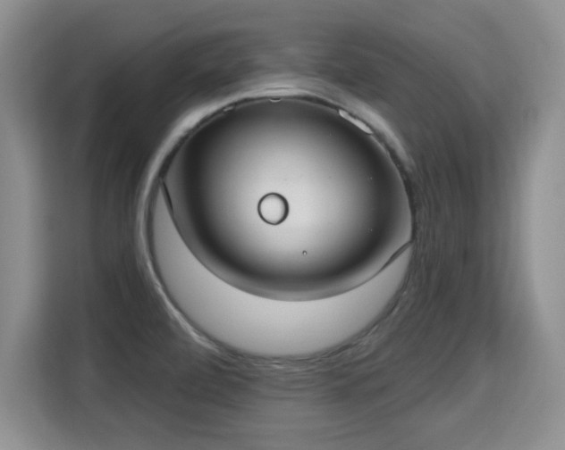 X0000115361472200911101146