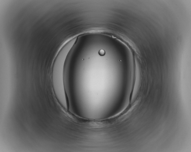 X0000115361473200911101146