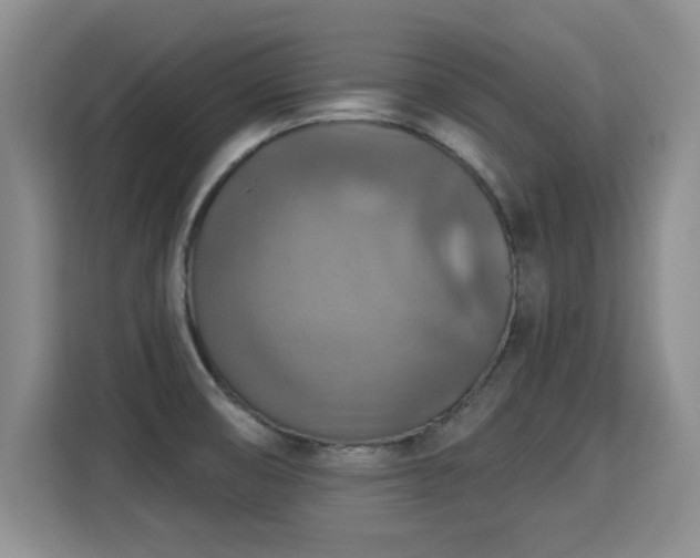X0000115361474200911101146