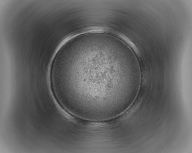 X0000115361475200911101146