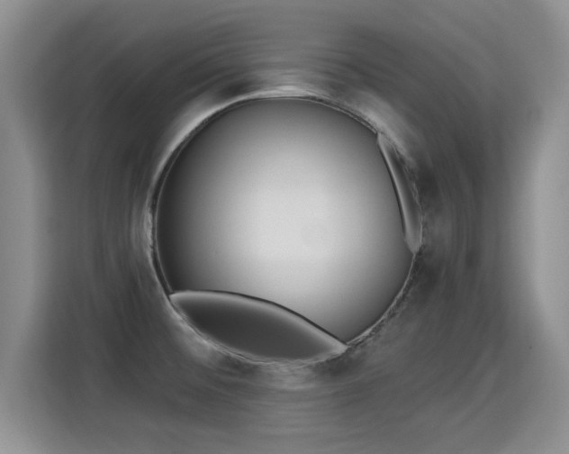 X0000115361476200911101146