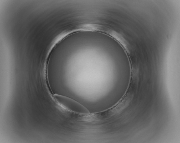 X0000115361477200911101146