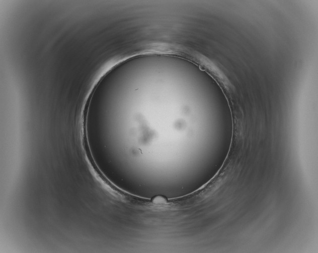 X0000115361479200911101146