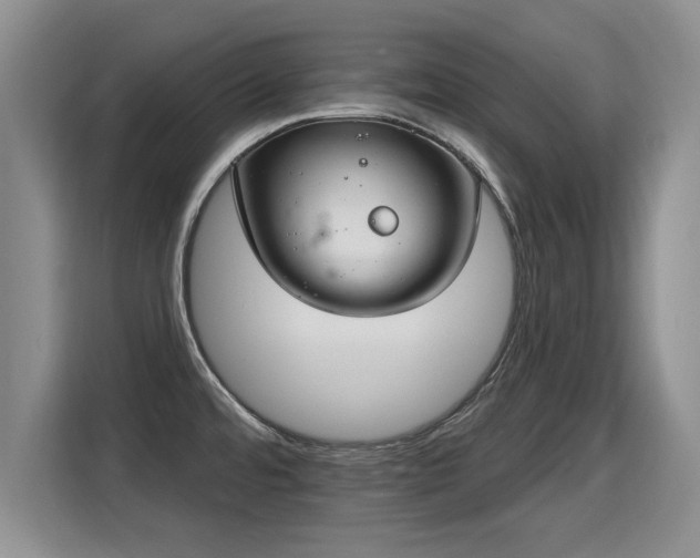 X0000115361480200911101146