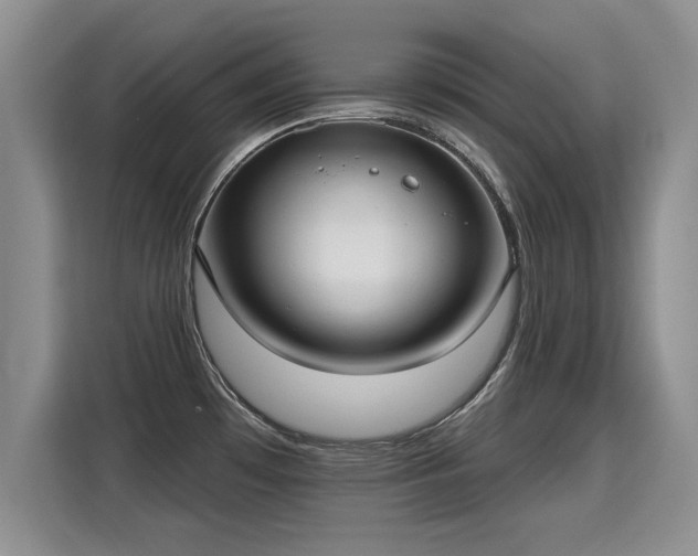 X0000115361481200911101146