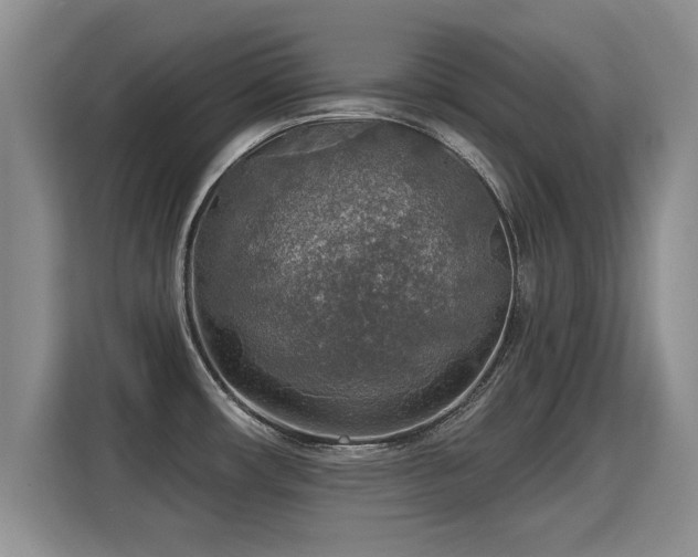 X0000115361482200911101146