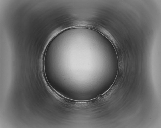 X0000115361483200911101146
