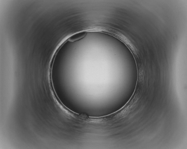 X0000115361484200911101146