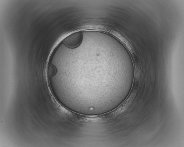 X0000115361486200911101146