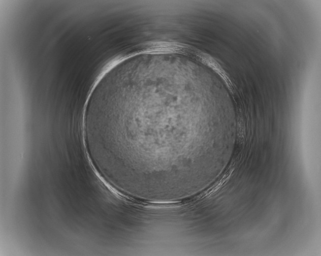 X0000115361487200911101146