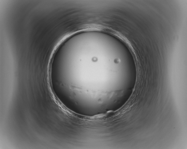 X0000115361488200911101146
