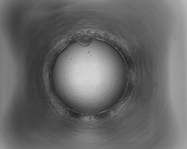 X0000115361489200911101146