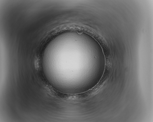 X0000115361490200911101146