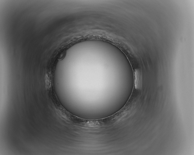 X0000115361491200911101146