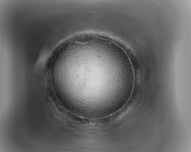 X0000115361494200911101146