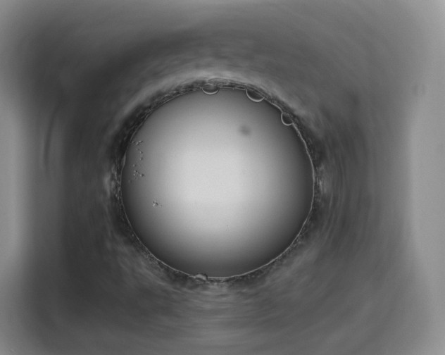 X0000115361495200911101146