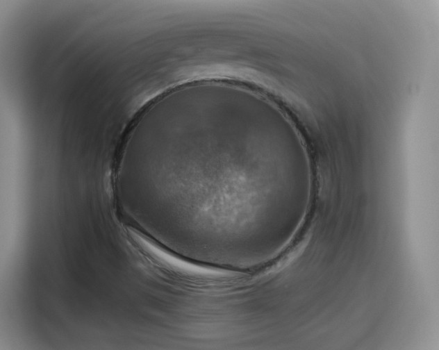 X0000115361497200911101146