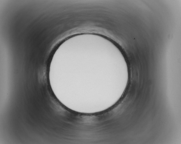 X0000115361498200911101146