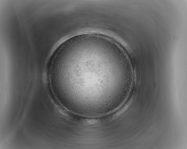 X0000115361501200911101146