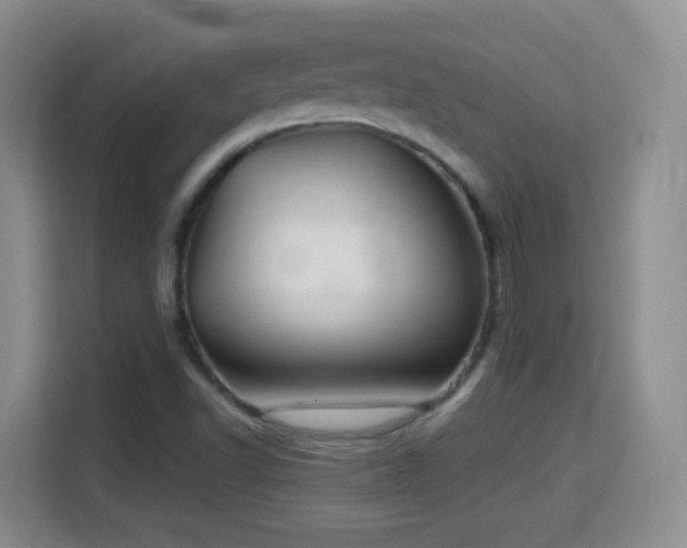 X0000115361502200911101146