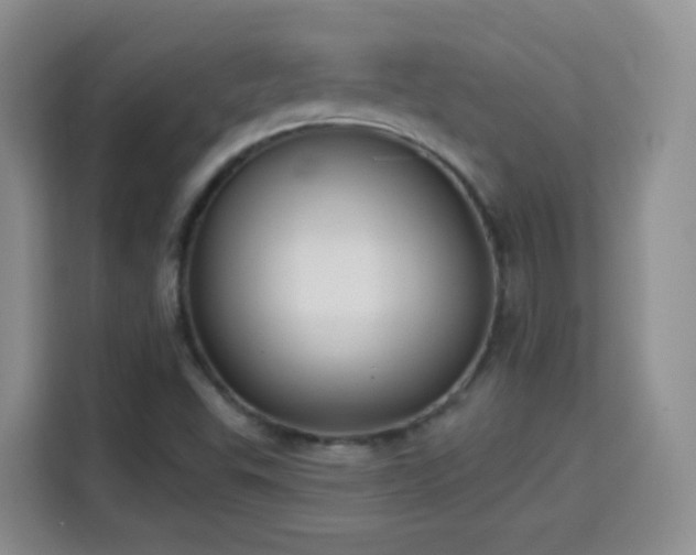 X0000115361503200911101146