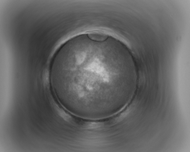 X0000115361506200911101146