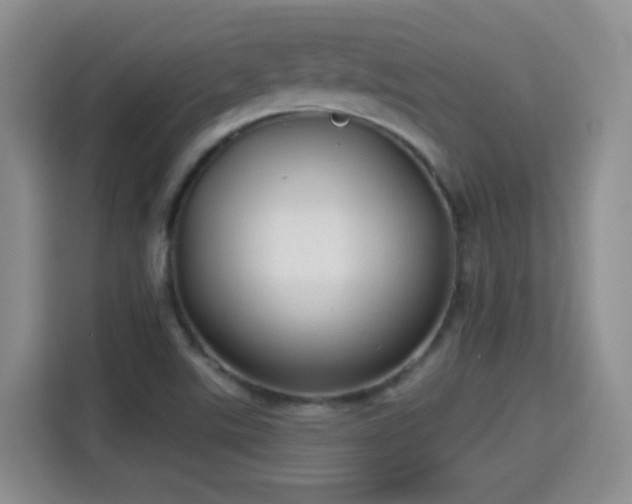 X0000115361507200911101146
