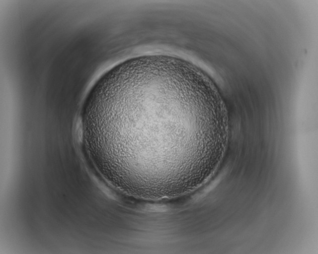X0000115361509200911101146