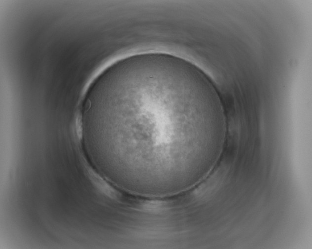 X0000115361510200911101146