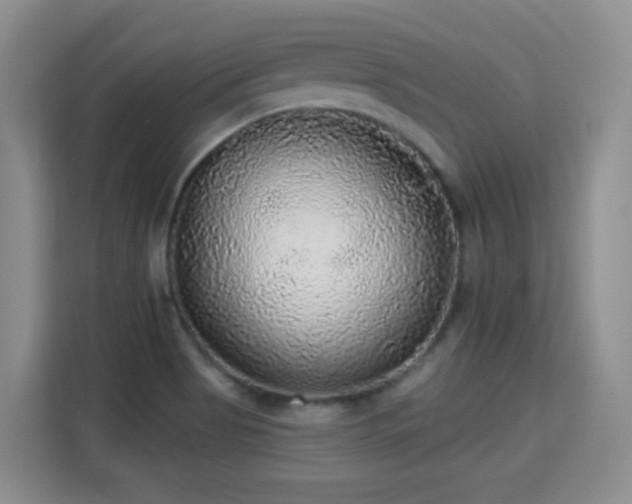 X0000115361513200911101146