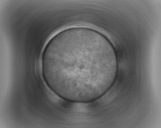 X0000115361514200911101146