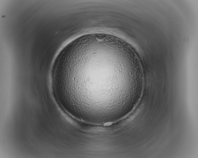 X0000115361517200911101146