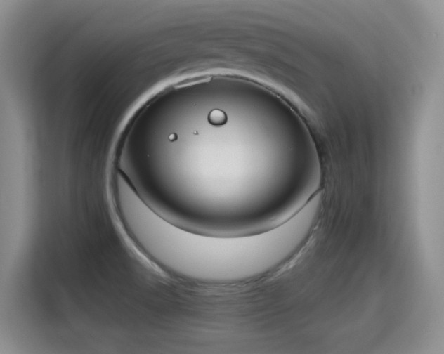 X0000115361518200911101146